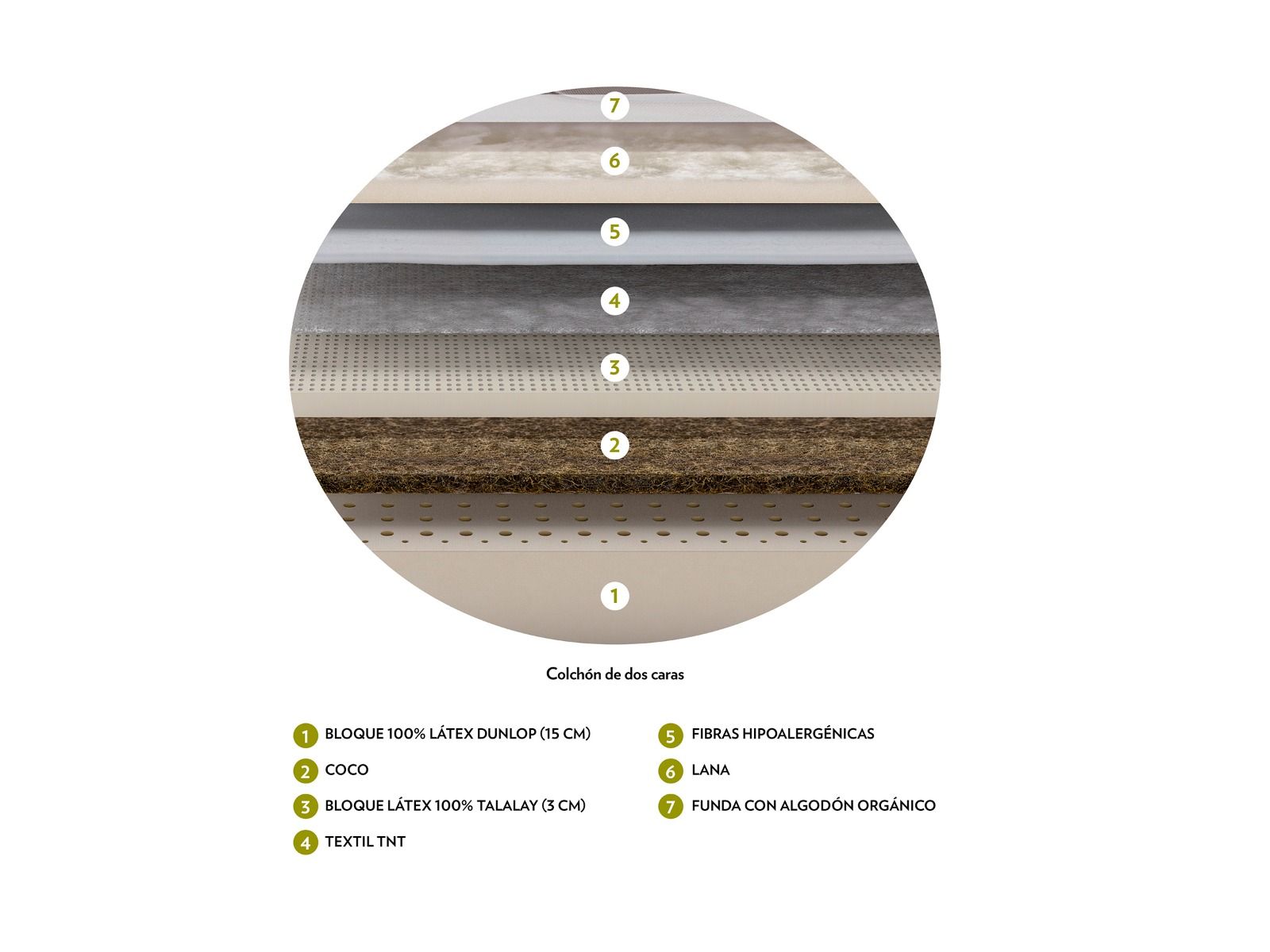 Colchón Natur Talalay - Imagen 3